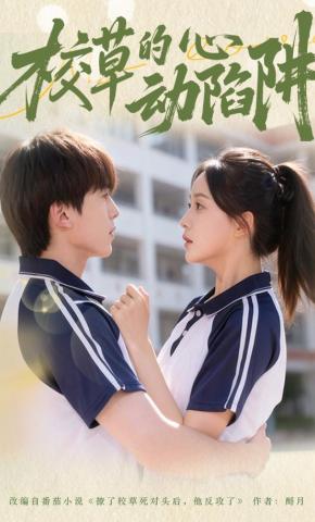 短剧校草的心动陷阱海报