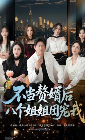 短剧不当赘婿后八个姐姐团宠我海报