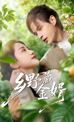 短剧《乡野藏金婿》海报