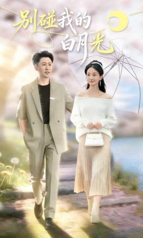 短剧别碰我的白月光海报