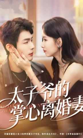 短剧《太子爷的掌心离婚妻》海报