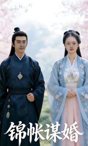 短剧《锦帐谋婚》海报