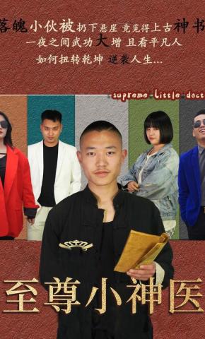 短剧至尊小神医海报