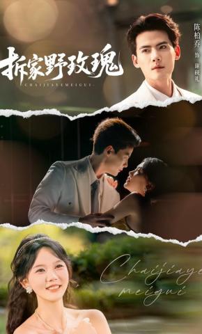 短剧拆家野玫瑰海报