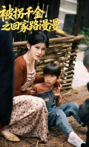 短剧被拐千金之回家路漫漫海报