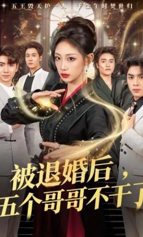 短剧《被退婚后，五个哥哥不干了》海报