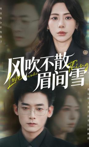 短剧《风吹不散眉间雪》海报