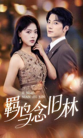 短剧《羁鸟念旧林》海报