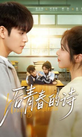 短剧《后青春的诗》海报