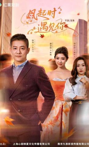 短剧《风起时遇见你》海报
