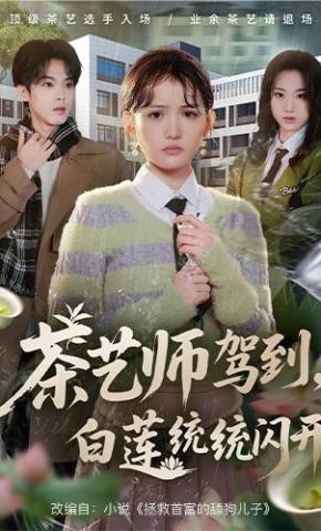 短剧《茶艺师驾到，白莲统统闪开》海报