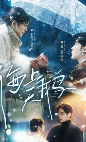 短剧海上天鹅海报