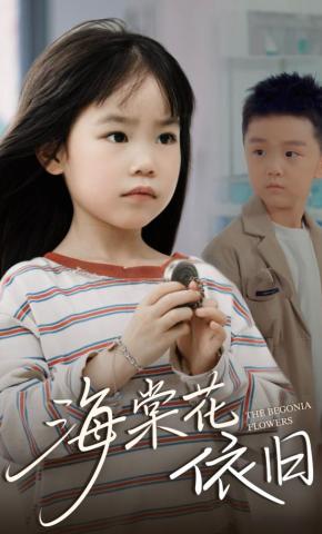 短剧海棠花依旧海报