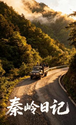 短剧《秦岭日记》海报