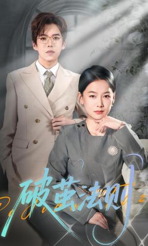 短剧《破茧法则》海报