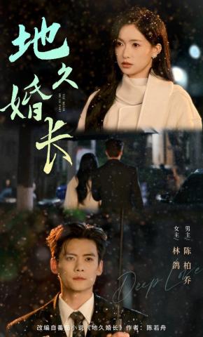 短剧《地久婚长》海报