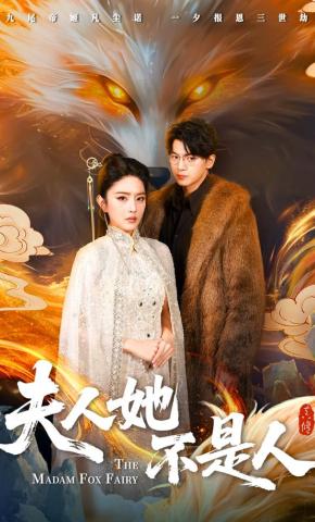 短剧夫人她不是人海报