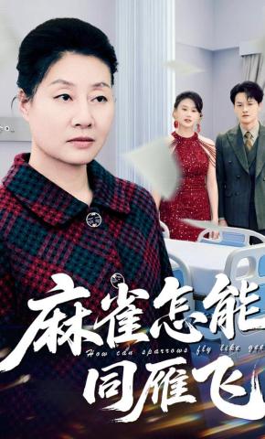 短剧《麻雀怎能同雁飞》海报