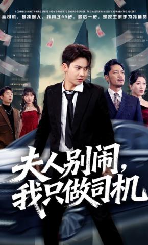 短剧《夫人别闹，我只做司机》海报