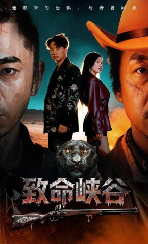 短剧致命峡谷海报