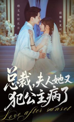 短剧《总裁，夫人她又犯公主病了》海报