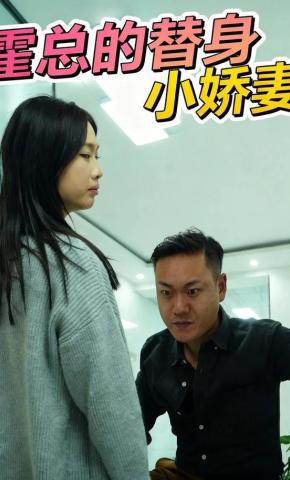 短剧霍总的替身小娇妻海报