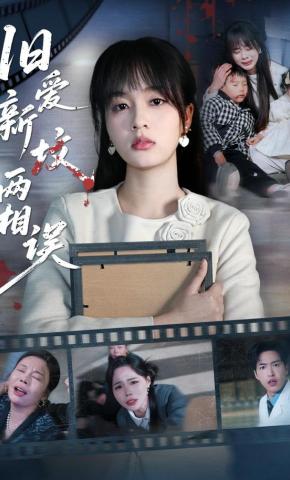 短剧《旧爱新坟两相误》海报