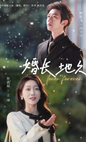 短剧《婚长地久》海报