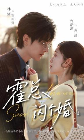 短剧《霍总，闪个婚》海报