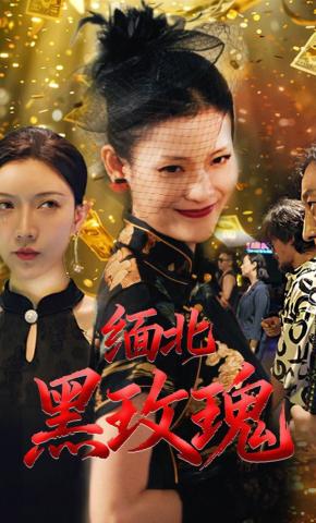 短剧《缅北黑玫瑰》海报