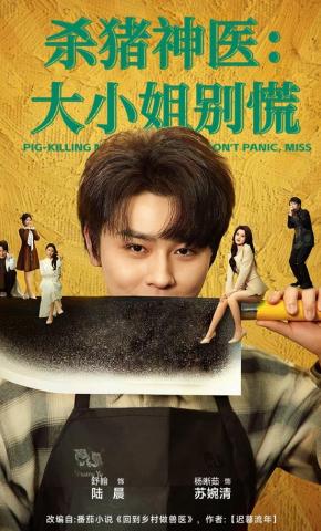 短剧《杀猪神医，大小姐别慌》海报