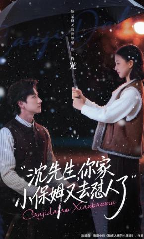 短剧《沈先生，你家小保姆又去怼人了》海报