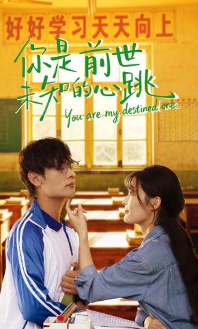 短剧你是前世未知的心跳海报