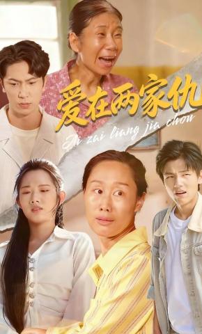 短剧《爱在两家仇》海报