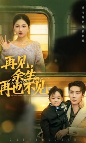 短剧《再见，余生再也不见》海报