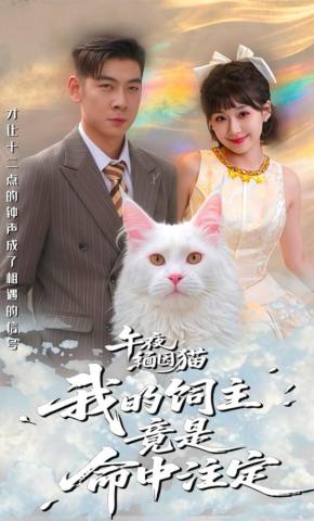 短剧《午夜缅因猫我的饲主竟是命中注定》海报