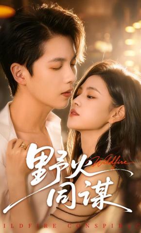 短剧野火同谋海报