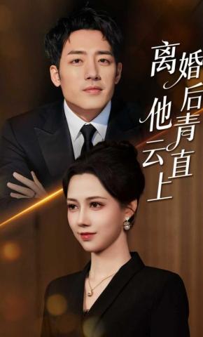 短剧《离婚后，他青云直上》海报