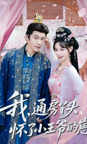短剧《我，通房丫头，怀了小王爷的崽》海报