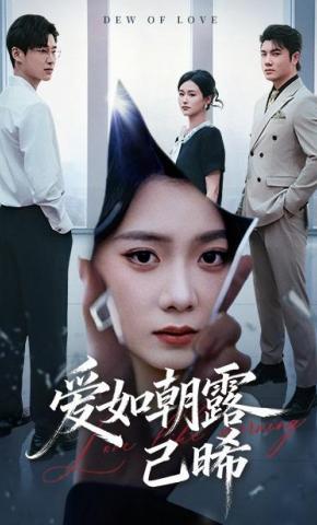 短剧《爱如朝露已晞》海报