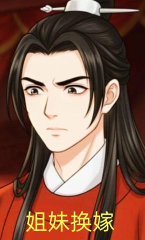 短剧《姐妹换嫁》海报