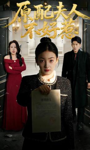 短剧《原配夫人不好惹》海报