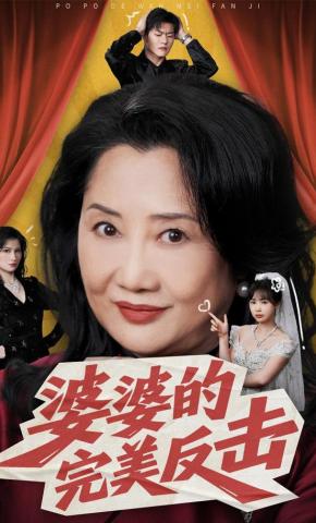 短剧《婆婆的完美反击》海报
