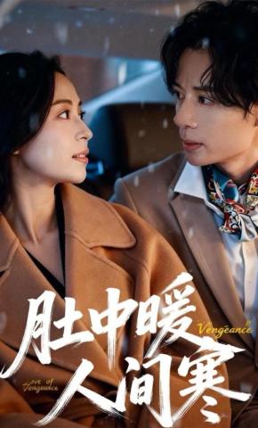 短剧肚中暖人间寒海报