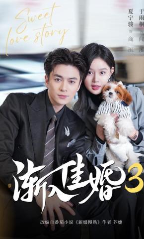 短剧《渐入佳婚3》海报