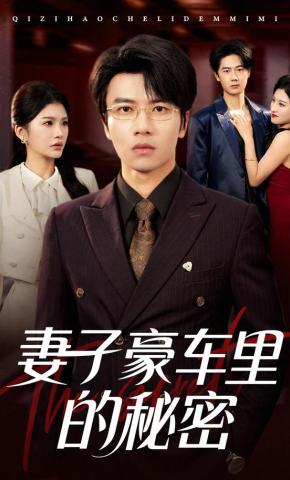 短剧妻子豪车里的秘密海报