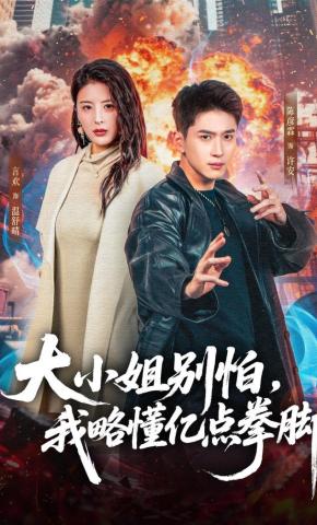 短剧《大小姐别怕，我略懂亿点拳脚》海报