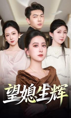 短剧望媳生辉海报