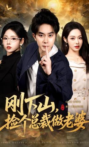 短剧《刚下山，捡个总裁做老婆》海报