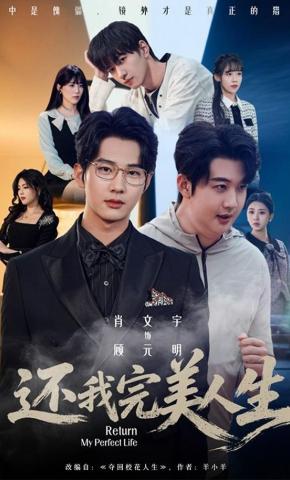 短剧《还我完美人生》海报